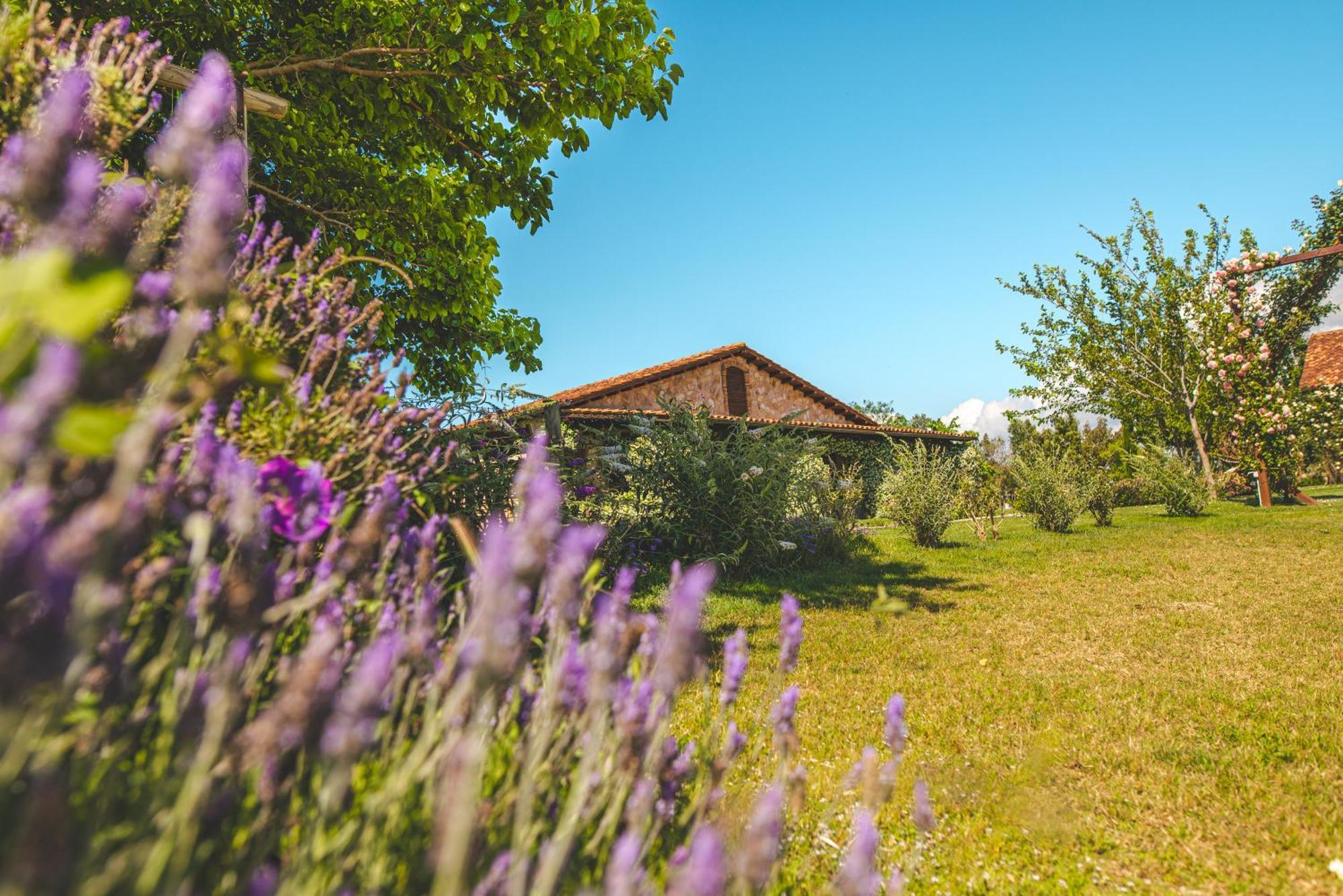 Villa Casale Poggio Nebbia à Tarquinia Extérieur photo